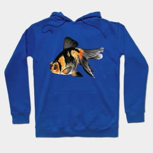 Ranchu Demekin Goldfish With Telescopic Eyes Hoodie